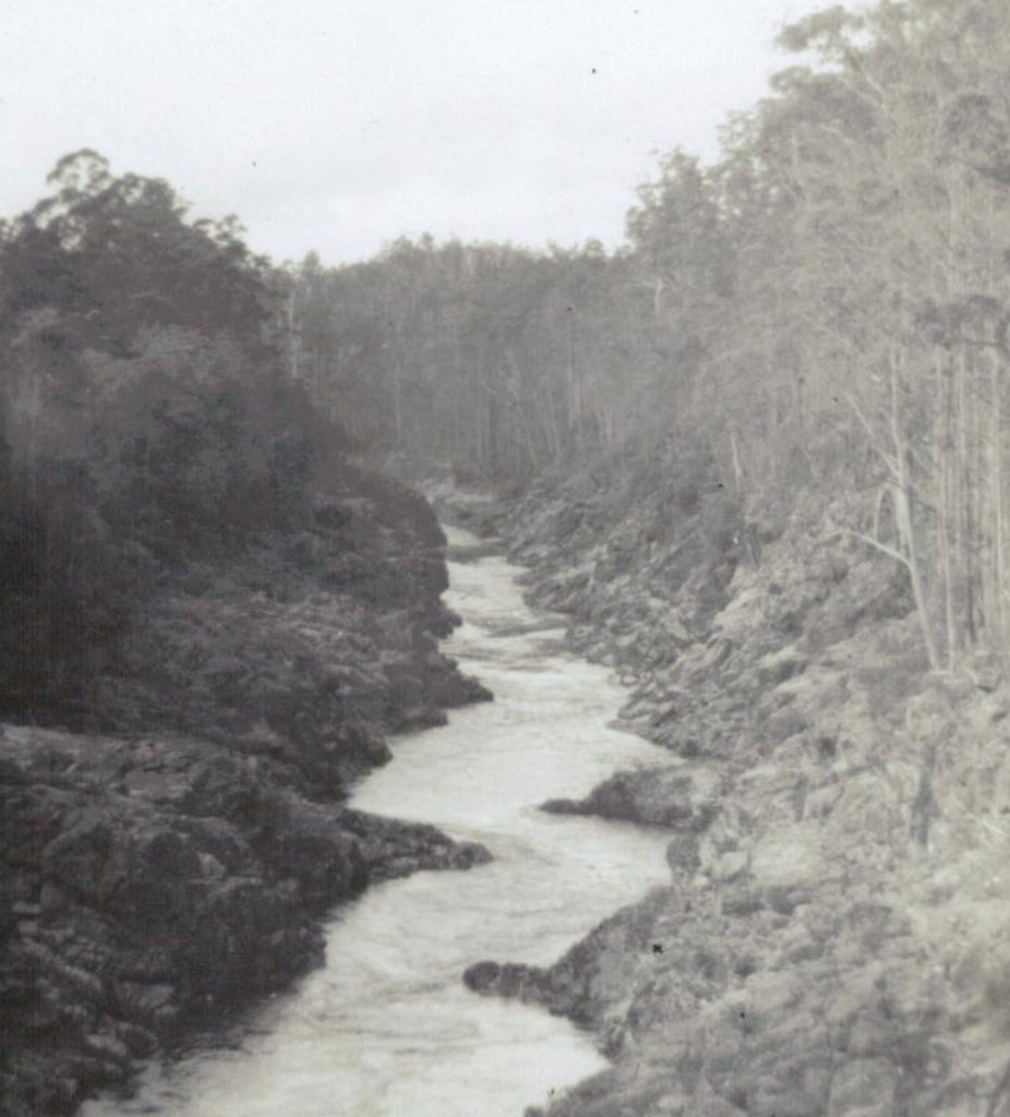 A black and white photo of the Pieman River