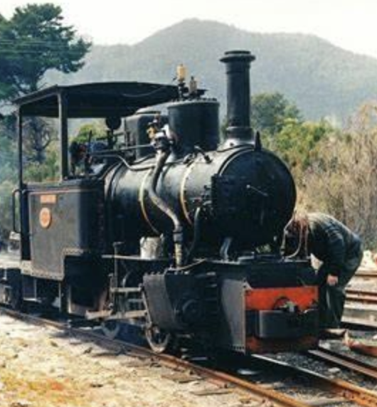 Wee Georgie Wood Train in Tullah Tasmania